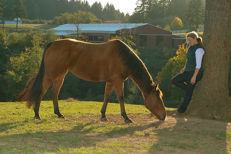 Blackhawk Horsemanship
